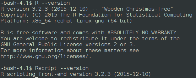 Check if R is installed